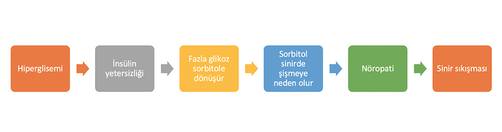 Hiperglisemiden sinir sıkışmasına akış şeması: insülin yetersizliği, sorbitol, sinirde şişme ve nöropati